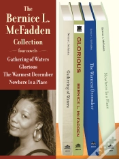 Capa do artigo Bernice L. Mcfadden Collection