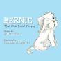 Bernie The One-Eyed Puppy - Preview