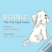 Capa do artigo Bernie The One-Eyed Puppy