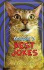 Bernie'S Best Jokes - Preview