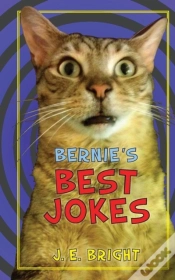 Capa do artigo Bernie