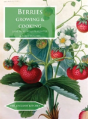 Berries - Preview