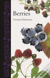 Berries