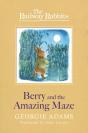 Berry And The Amazing Maze - Preview
