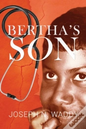Capa do artigo Bertha