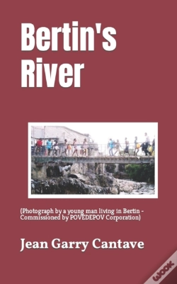Capa do artigo Bertin'S River 2