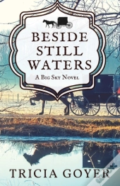 Beside Still Waters: A Big Sky Novel