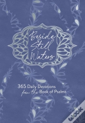 Capa do artigo Beside Still Waters