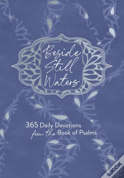 Capa do artigo Beside Still Waters