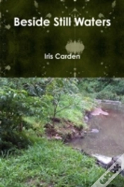 Capa do artigo Beside Still Waters