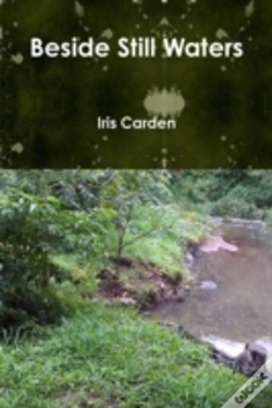Capa do artigo Beside Still Waters