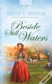 Capa do artigo Beside Still Waters