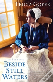 Capa do artigo Beside Still Waters