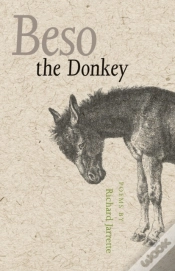 Capa do artigo Beso The Donkey