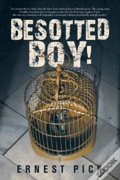Capa do artigo Besotted Boy!