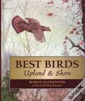 Capa do artigo Best Birds Upland And Shore