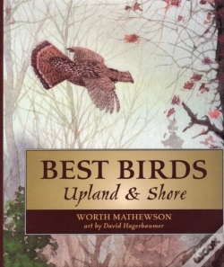 Capa do artigo Best Birds Upland And Shore