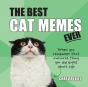 Best Cat Memes Ever - Preview