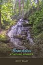 Best Hikes At Mount Rogers - Preview