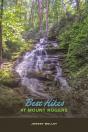 Best Hikes At Mount Rogers - Preview
