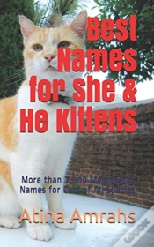 Capa do artigo Best Names For She & He Kittens