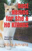 Best Names For She & He Kittens