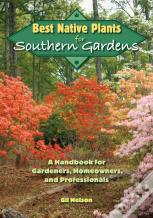 Best Native Plants For Southern Gardens
