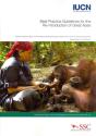 Best Practice Guidelines For The Re-Introduction Of Great Apes - Preview