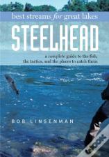 Best Streams For Great Lakes Steelhead
