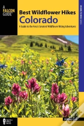 Best Wildflower Hikes Colorado
