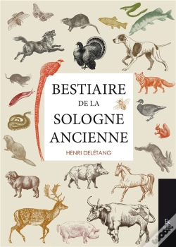 Capa do artigo Bestiaire De La Sologne Ancienne