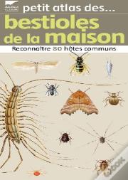 Bestioles De La Maison