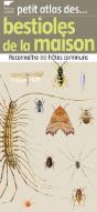 Bestioles De La Maison - Preview