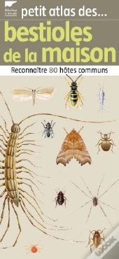 Bestioles De La Maison