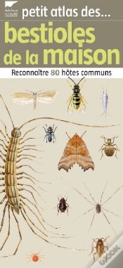 Capa do artigo Bestioles De La Maison