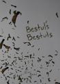 Bestul'S Bestuls - Preview