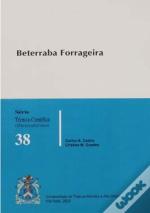 Beterraba Forrageira 