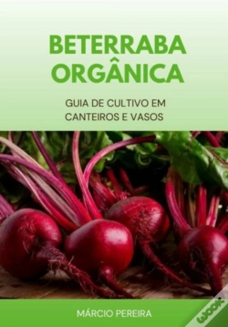 Capa do artigo Beterraba Orgânica