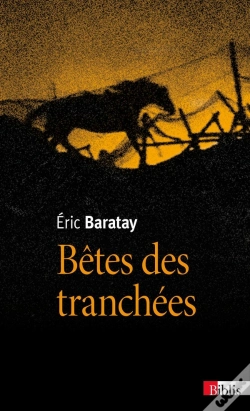 Capa do artigo Betes Des Tranchees. Des Vecus Oublies