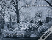 Capa do artigo Bethany Eden Jacobson: Ode To A Cemetery
