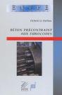 Beton Precontraint Aux Eurocodes - Preview