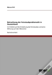 Betrachtung Der Feinstaubproblematik In Deutschland