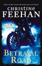 Betrayal Road - Preview