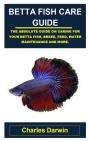 Betta Fish Care Guide - Preview