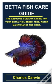 Capa do artigo Betta Fish Care Guide
