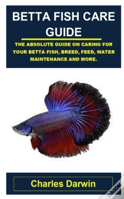 Capa do artigo Betta Fish Care Guide