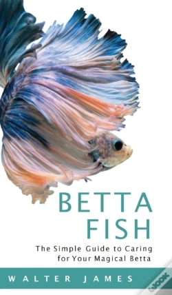 Capa do artigo Betta Fish