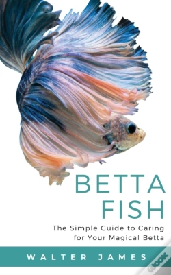Capa do artigo Betta Fish: The Simple Guide To Caring F