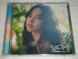 Capa do artigo Better Things - CD