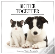 Capa do artigo Better Together